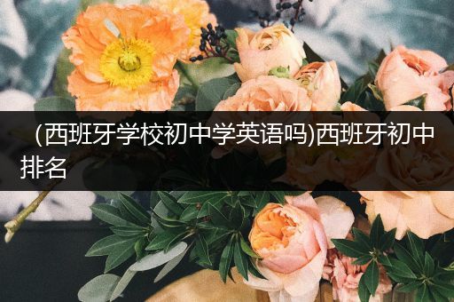 （西班牙学校初中学英语吗)西班牙初中排名