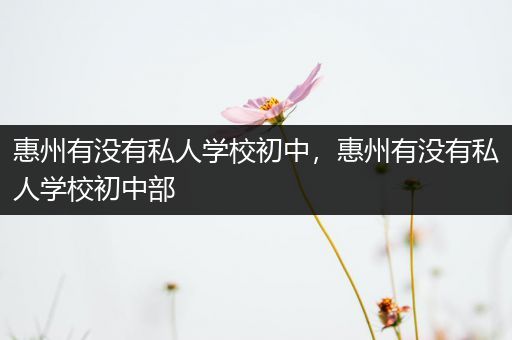 惠州有没有私人学校初中，惠州有没有私人学校初中部