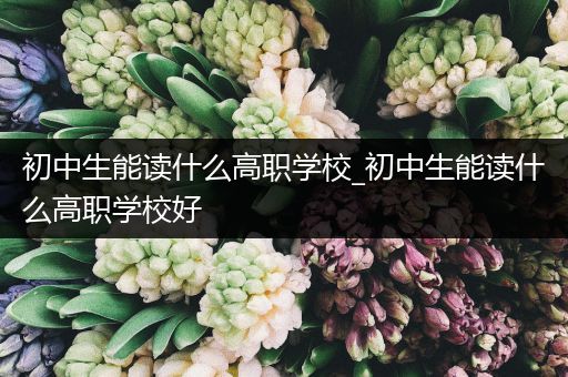 初中生能读什么高职学校_初中生能读什么高职学校好