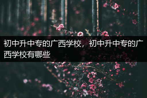 初中升中专的广西学校，初中升中专的广西学校有哪些