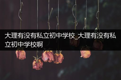 大理有没有私立初中学校_大理有没有私立初中学校啊