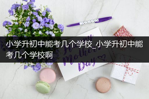 小学升初中能考几个学校_小学升初中能考几个学校啊