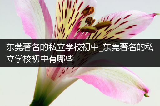 东莞著名的私立学校初中_东莞著名的私立学校初中有哪些