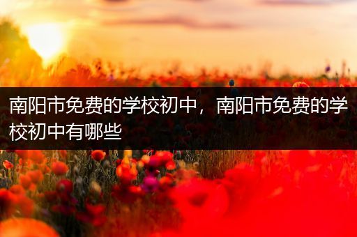 南阳市免费的学校初中，南阳市免费的学校初中有哪些