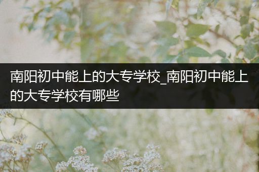 南阳初中能上的大专学校_南阳初中能上的大专学校有哪些