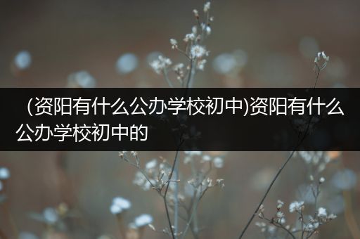 （资阳有什么公办学校初中)资阳有什么公办学校初中的