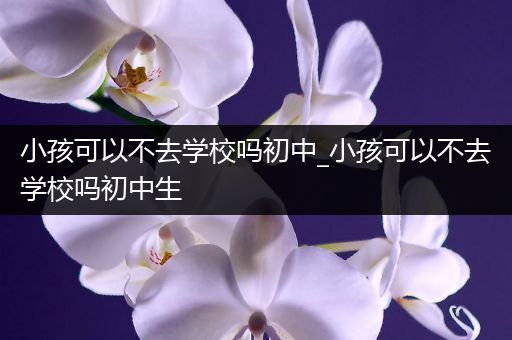 小孩可以不去学校吗初中_小孩可以不去学校吗初中生