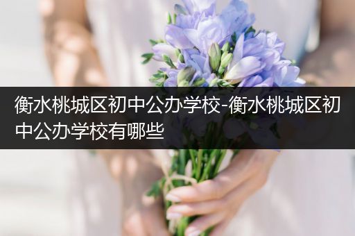 衡水桃城区初中公办学校-衡水桃城区初中公办学校有哪些