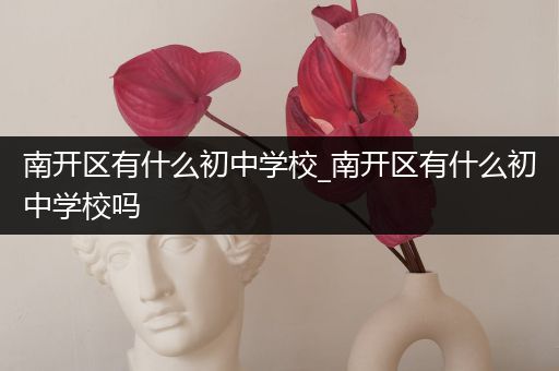 南开区有什么初中学校_南开区有什么初中学校吗