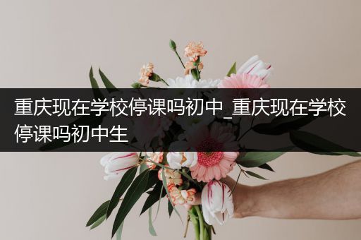 重庆现在学校停课吗初中_重庆现在学校停课吗初中生