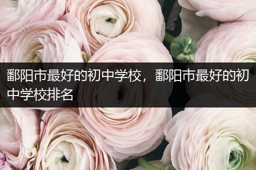 鄱阳市最好的初中学校，鄱阳市最好的初中学校排名