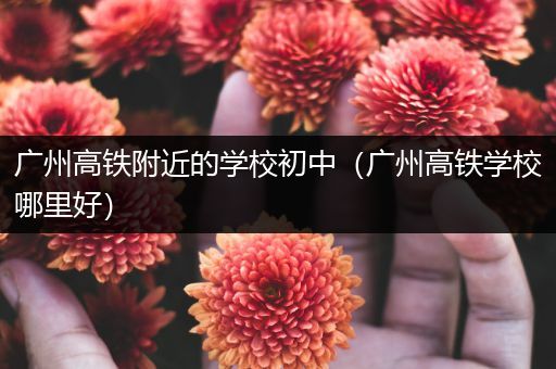 广州高铁附近的学校初中（广州高铁学校哪里好）