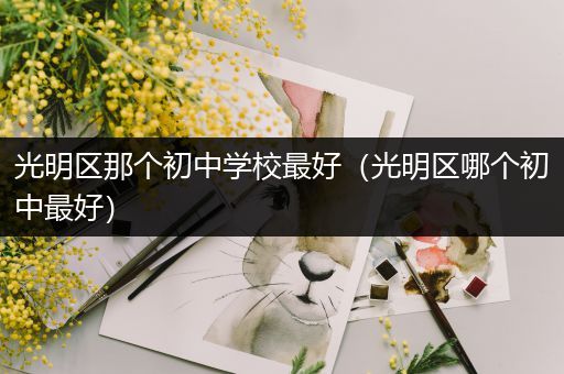 光明区那个初中学校最好（光明区哪个初中最好）