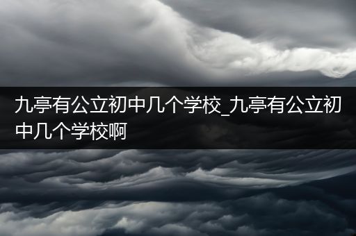 九亭有公立初中几个学校_九亭有公立初中几个学校啊