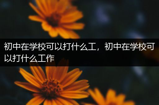 初中在学校可以打什么工，初中在学校可以打什么工作