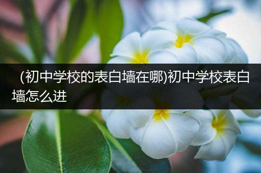 （初中学校的表白墙在哪)初中学校表白墙怎么进