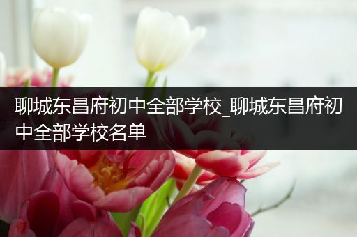 聊城东昌府初中全部学校_聊城东昌府初中全部学校名单