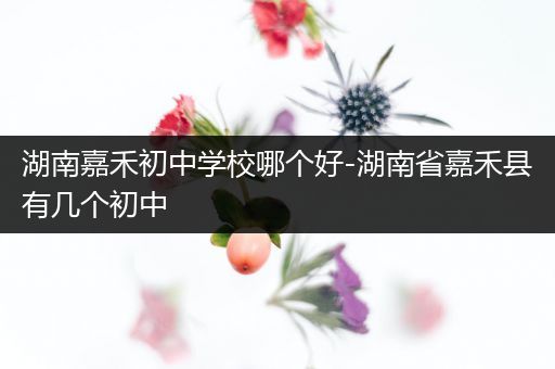 湖南嘉禾初中学校哪个好-湖南省嘉禾县有几个初中