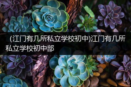 （江门有几所私立学校初中)江门有几所私立学校初中部