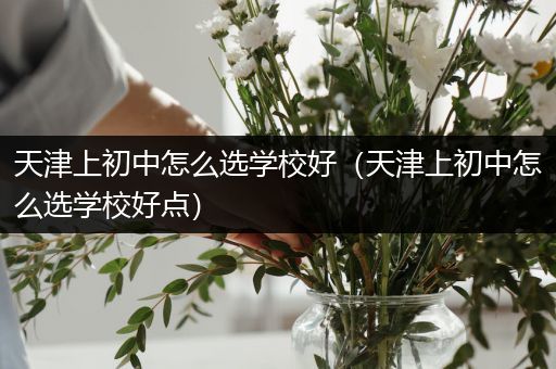 天津上初中怎么选学校好（天津上初中怎么选学校好点）