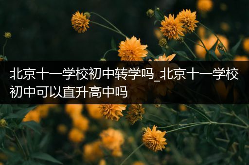 北京十一学校初中转学吗_北京十一学校初中可以直升高中吗