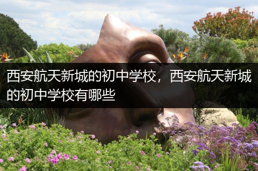 西安航天新城的初中学校，西安航天新城的初中学校有哪些