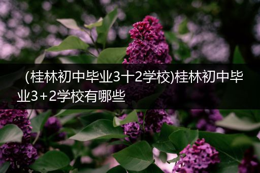 （桂林初中毕业3十2学校)桂林初中毕业3+2学校有哪些