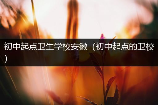 初中起点卫生学校安徽（初中起点的卫校）