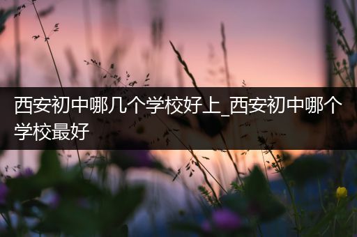 西安初中哪几个学校好上_西安初中哪个学校最好