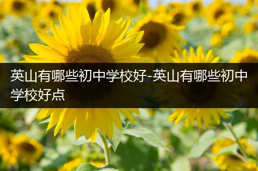 英山有哪些初中学校好-英山有哪些初中学校好点