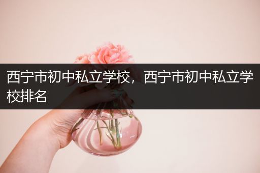 西宁市初中私立学校，西宁市初中私立学校排名