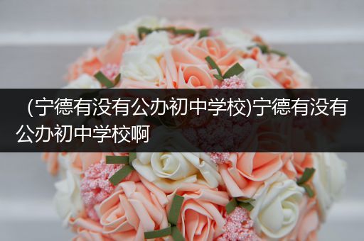 （宁德有没有公办初中学校)宁德有没有公办初中学校啊