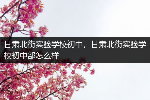 甘肃北街实验学校初中，甘肃北街实验学校初中部怎么样