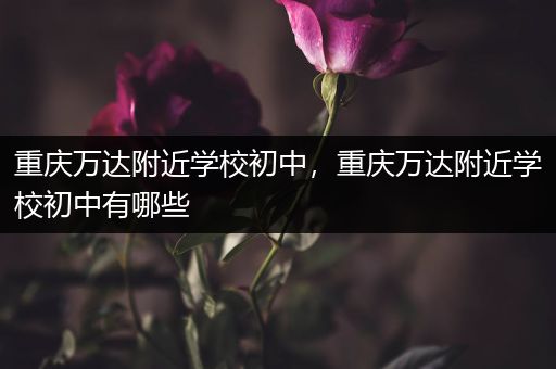 重庆万达附近学校初中，重庆万达附近学校初中有哪些