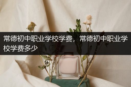 常德初中职业学校学费，常德初中职业学校学费多少