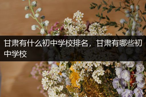 甘肃有什么初中学校排名，甘肃有哪些初中学校