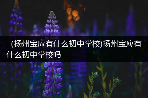 （扬州宝应有什么初中学校)扬州宝应有什么初中学校吗