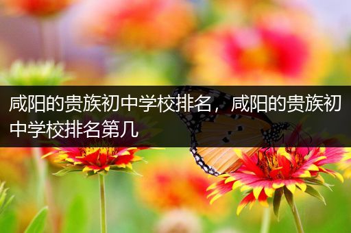 咸阳的贵族初中学校排名，咸阳的贵族初中学校排名第几