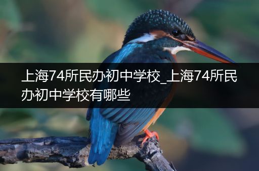 上海74所民办初中学校_上海74所民办初中学校有哪些