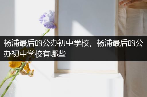 杨浦最后的公办初中学校，杨浦最后的公办初中学校有哪些