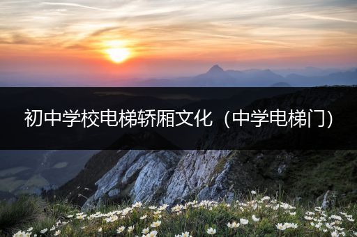 初中学校电梯轿厢文化（中学电梯门）