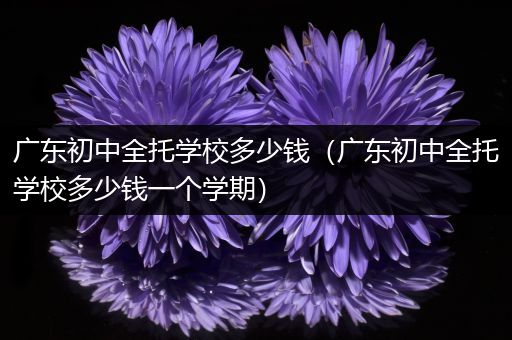 广东初中全托学校多少钱（广东初中全托学校多少钱一个学期）