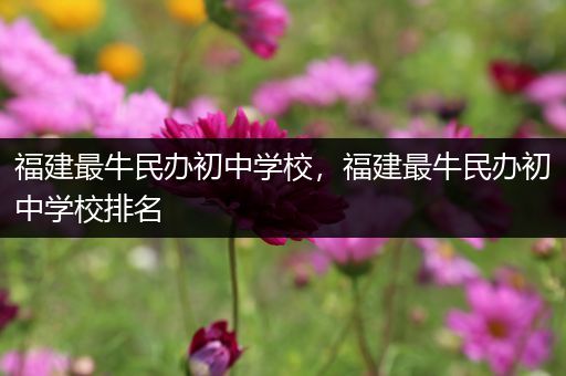 福建最牛民办初中学校，福建最牛民办初中学校排名