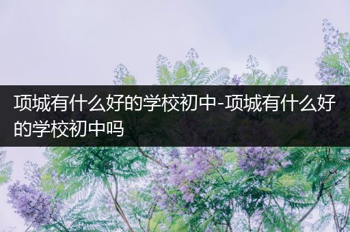 项城有什么好的学校初中-项城有什么好的学校初中吗