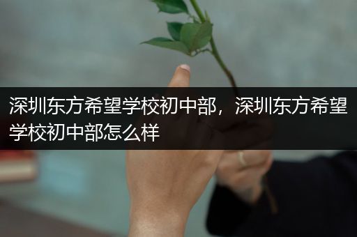 深圳东方希望学校初中部，深圳东方希望学校初中部怎么样