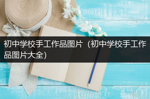 初中学校手工作品图片（初中学校手工作品图片大全）