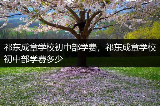祁东成章学校初中部学费，祁东成章学校初中部学费多少