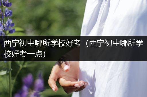 西宁初中哪所学校好考（西宁初中哪所学校好考一点）