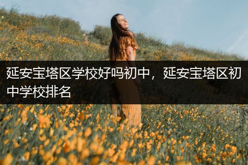 延安宝塔区学校好吗初中，延安宝塔区初中学校排名
