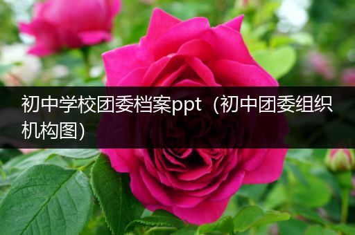 初中学校团委档案ppt（初中团委组织机构图）